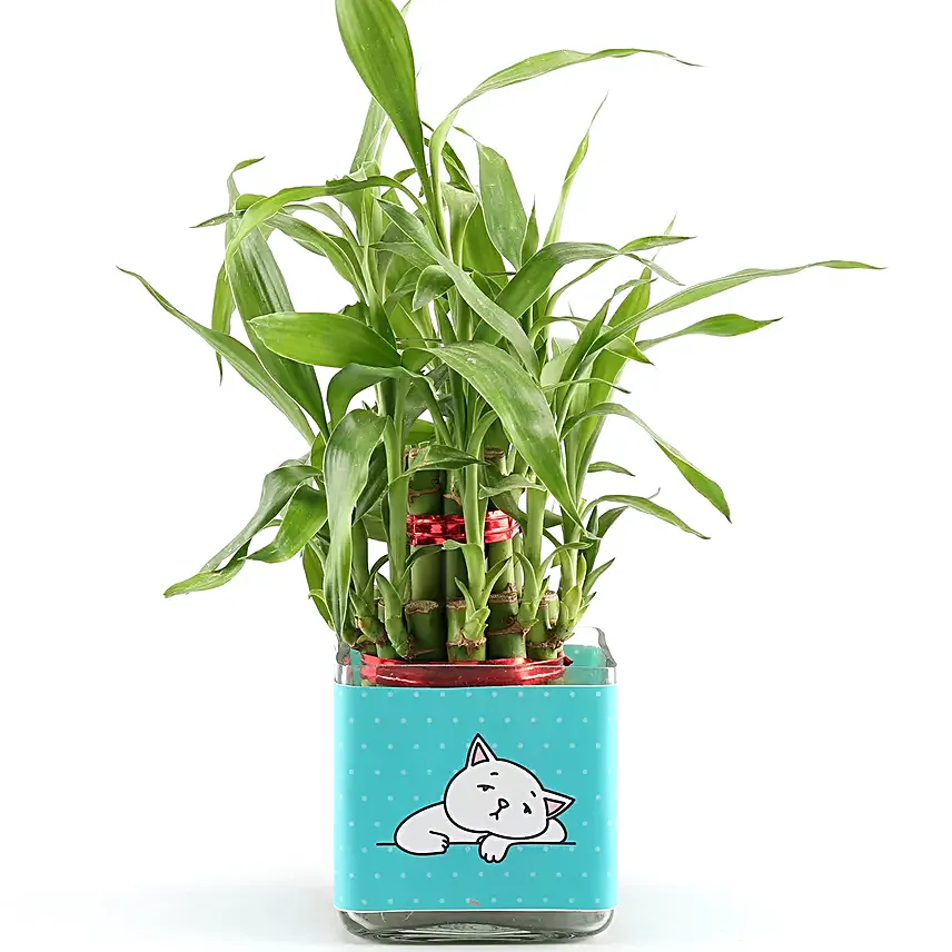 2 layer bamboo for miss you