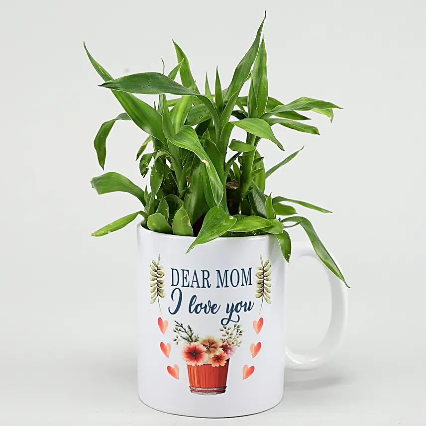 Two Layer Bamboo Plant In Mom I Love You Mug