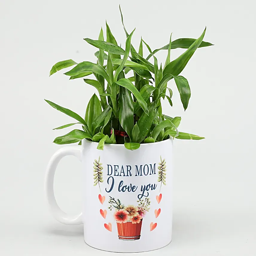 Two Layer Bamboo Plant In Mom I Love You Mug