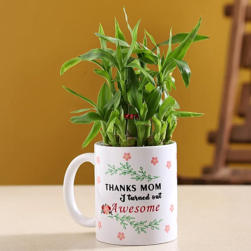 Two Layer Bamboo Plant In Mother Day Special Mug