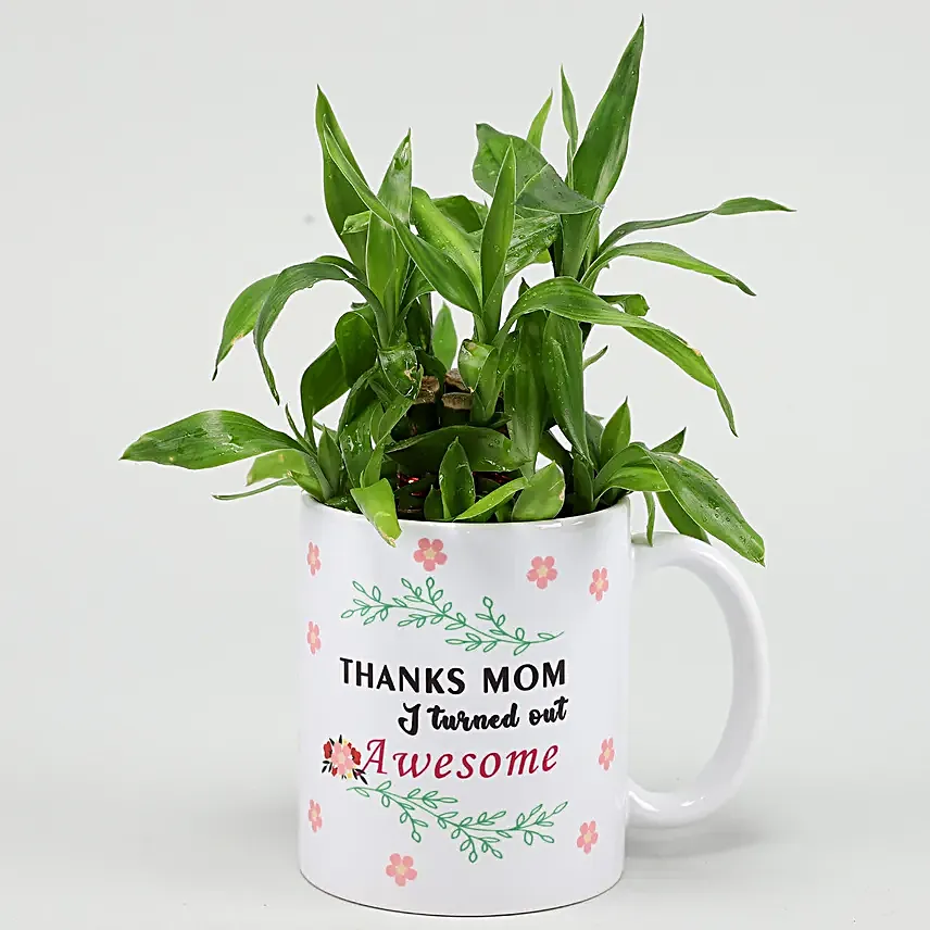 Two Layer Bamboo Plant In Mother Day Special Mug