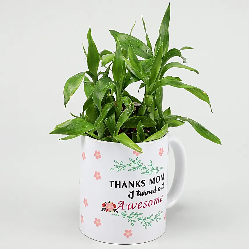 Two Layer Bamboo Plant In Mother Day Special Mug