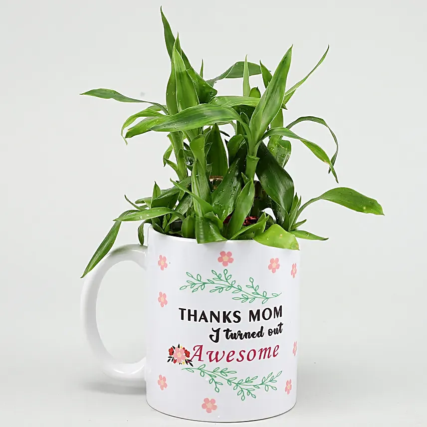 Two Layer Bamboo Plant In Mother Day Special Mug