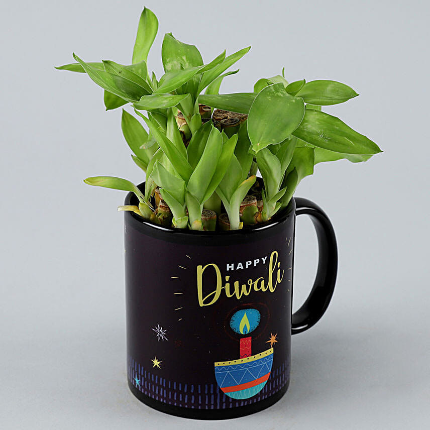 diwali plants combo for sister