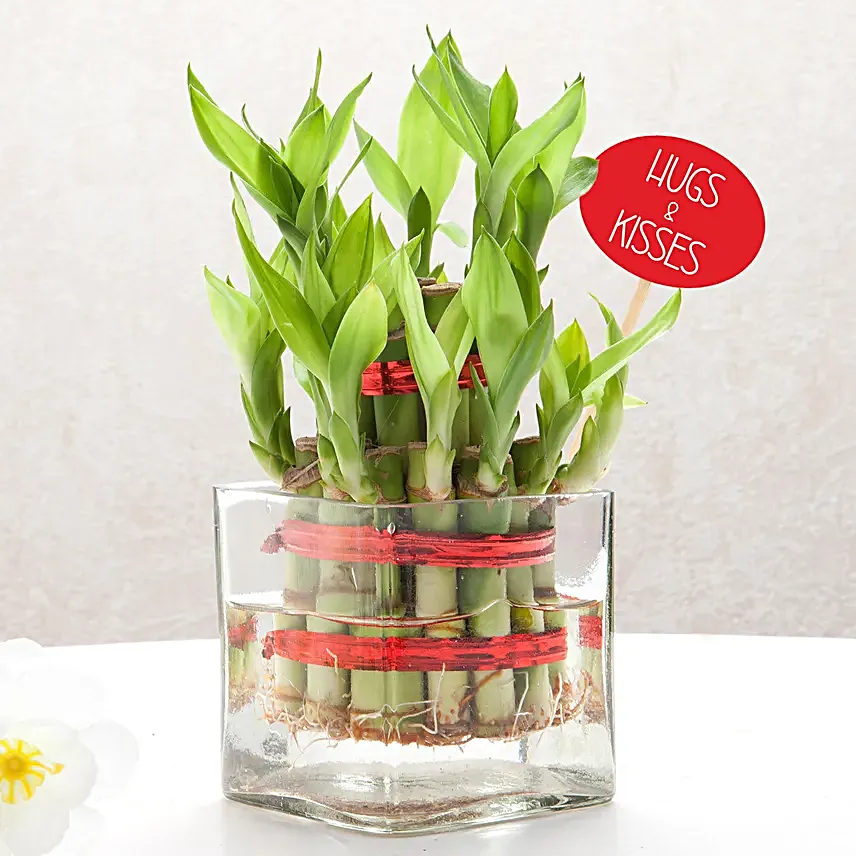 Valentines Day Bamboo Ensemble