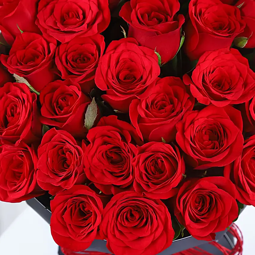 Valentines Velvet Whispers of Rose