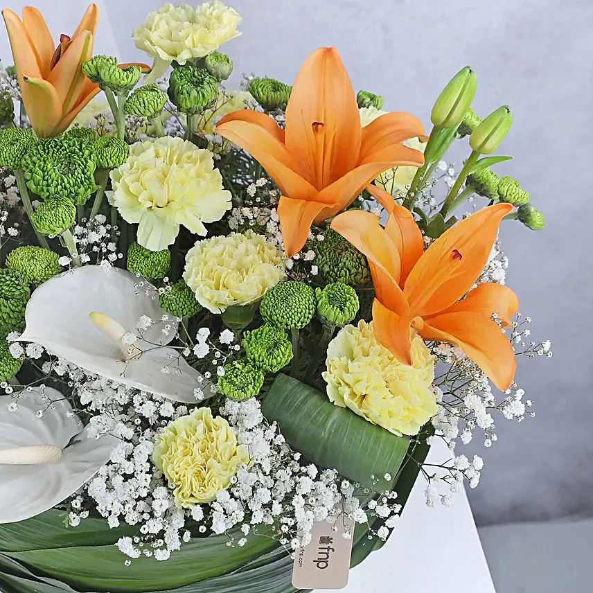 Vibrant Coloured Anthurium Flowers And Chocolates Combo
