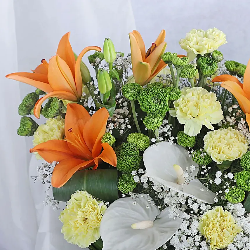 Vibrant Coloured Anthurium Flowers And Chocolates Combo