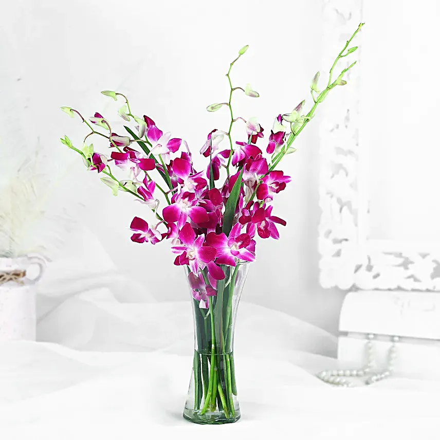 Orchid Arrangement for Her