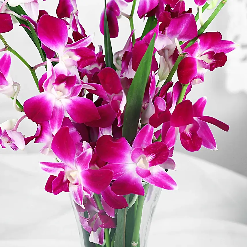 Orchid Arrangement for Her