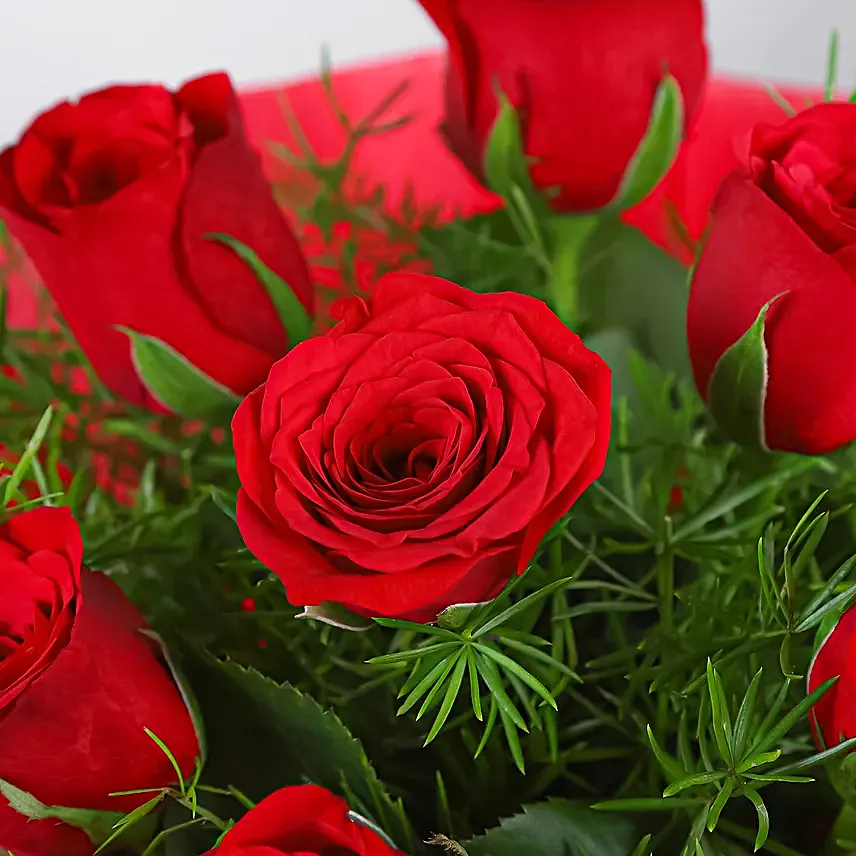 Vivid - Bunch of 10 Red Roses.
