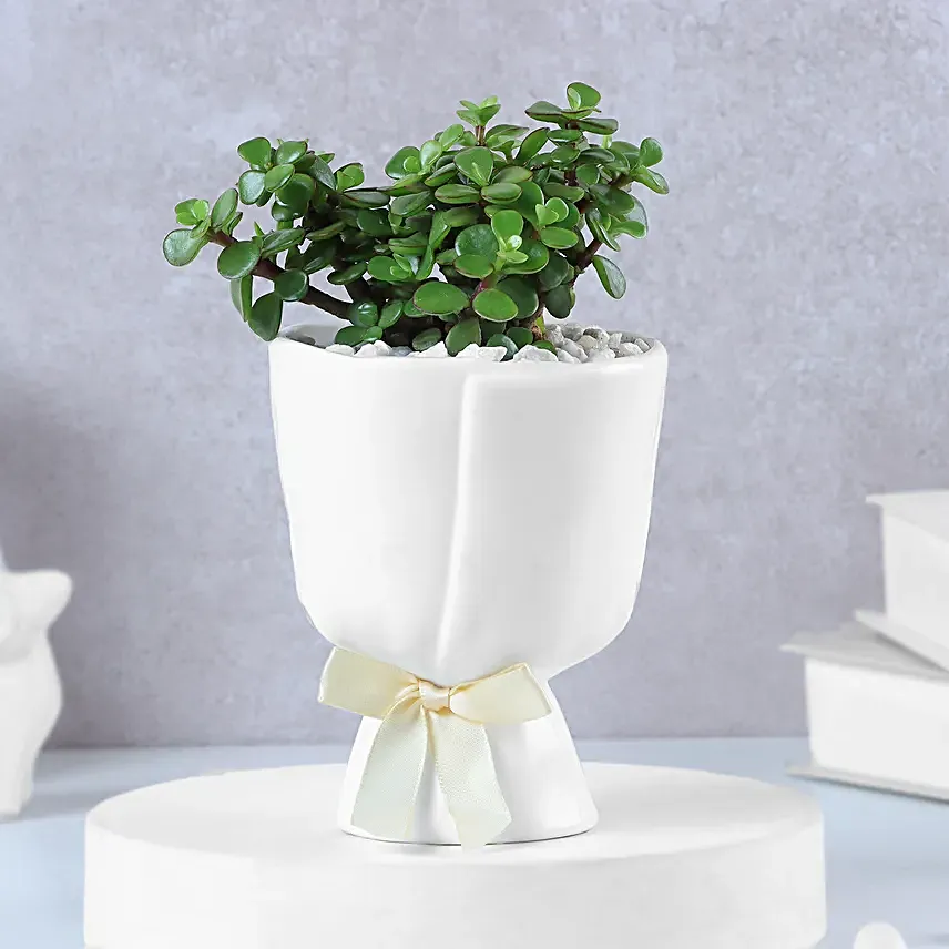 White Bow Jade Beauty