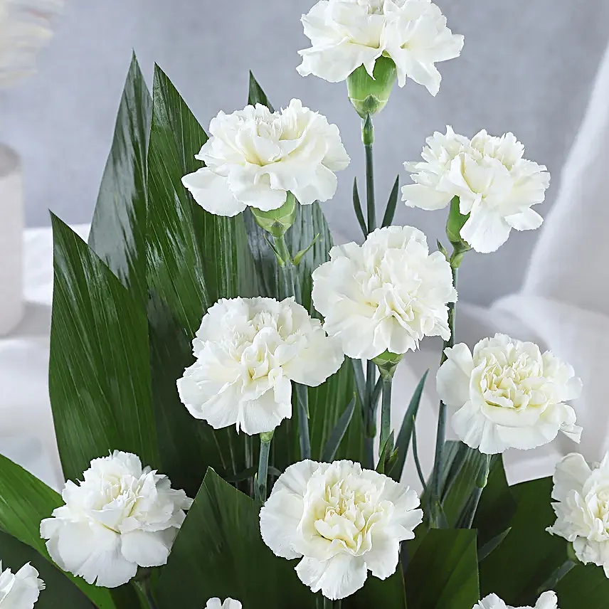 Online White Carnations Cane Basket