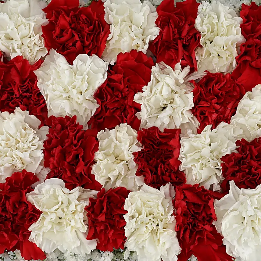 Online Carnations Arrangement