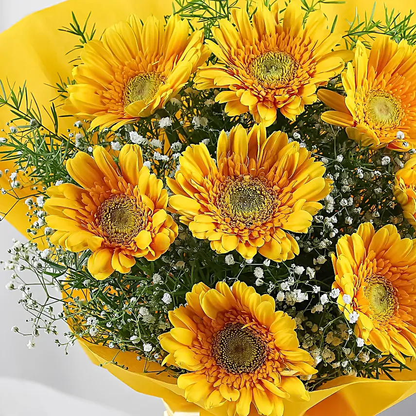 Yellow Mystique Gerbera Blossoms