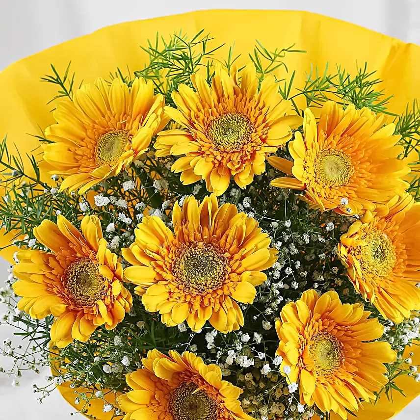 Yellow Mystique Gerbera Blossoms
