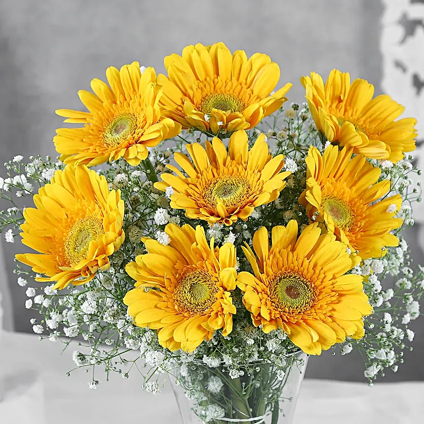 Yellow Mystique Gerbera Vase