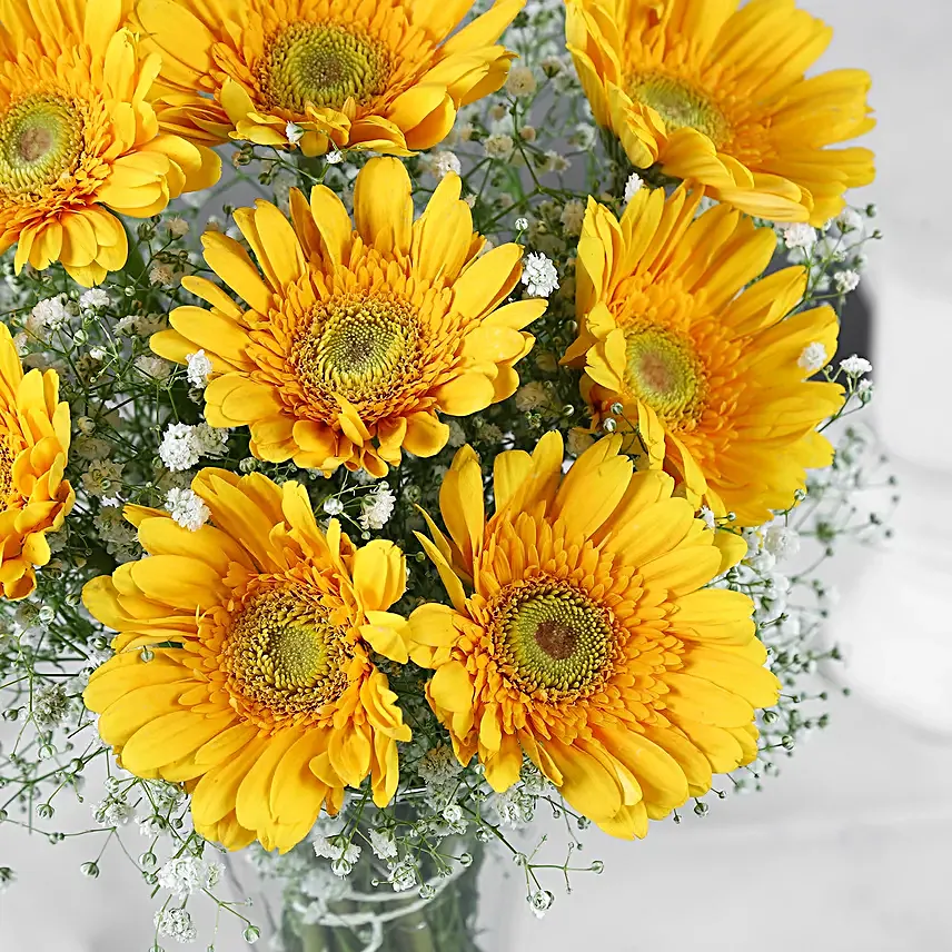 Yellow Mystique Gerbera Vase