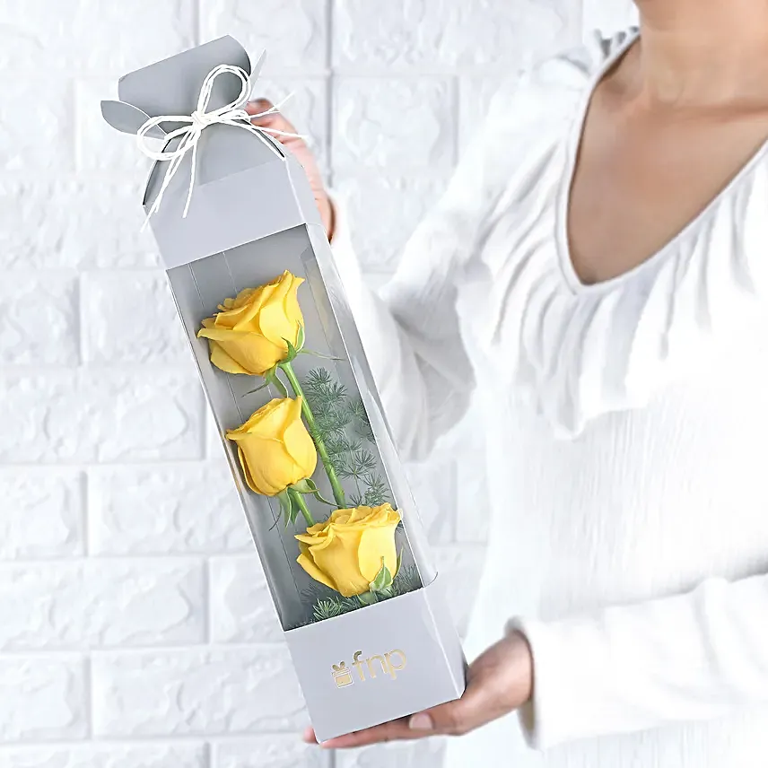 Yellow Rose Sunshine