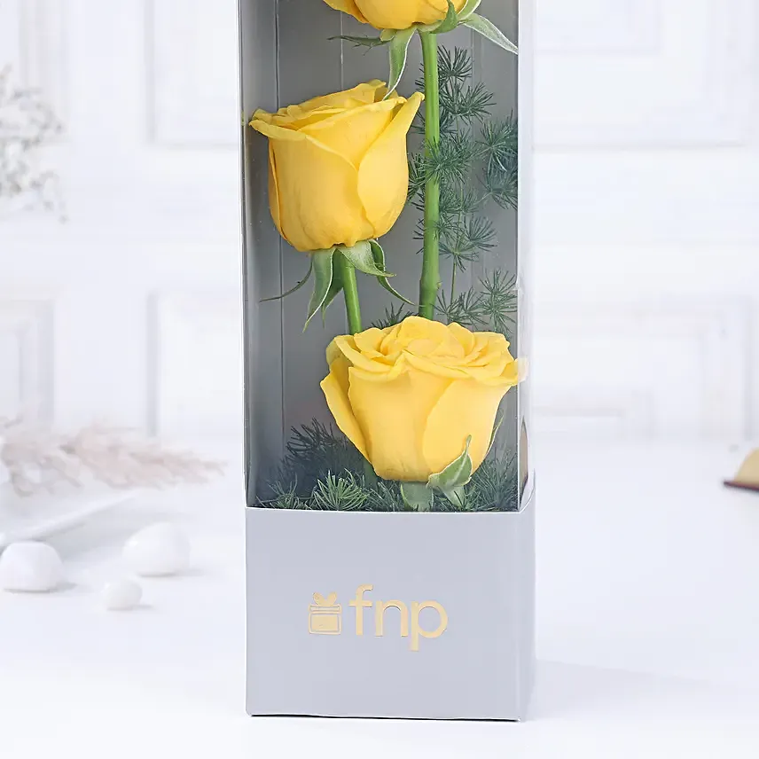 Yellow Rose Sunshine