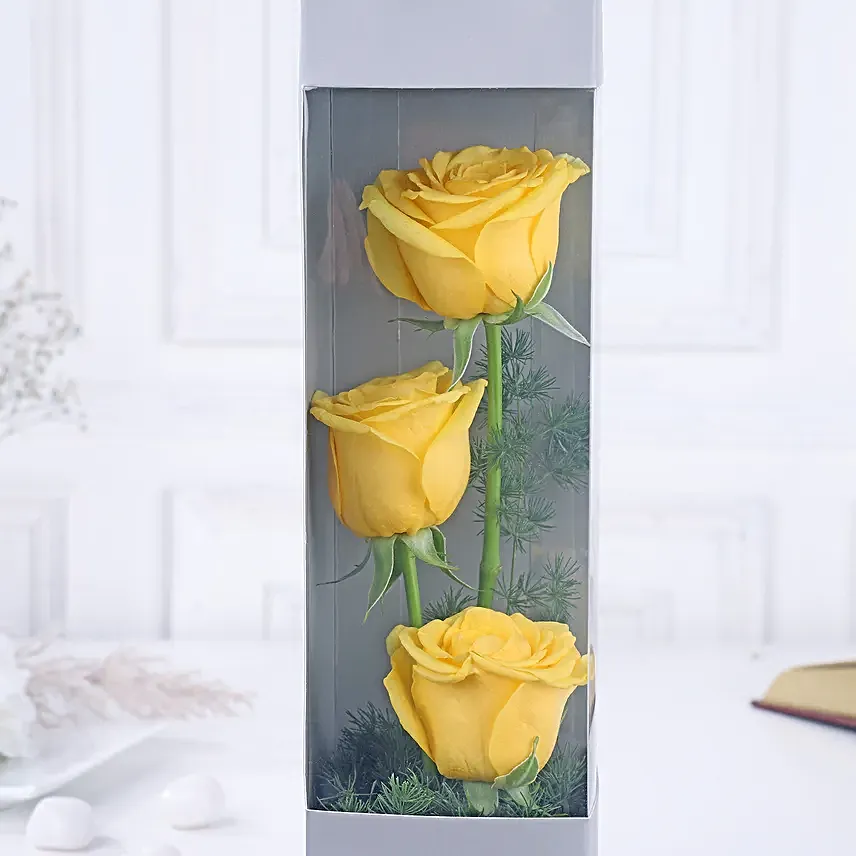 Yellow Rose Sunshine