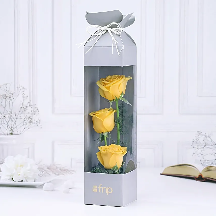 Yellow Rose Sunshine