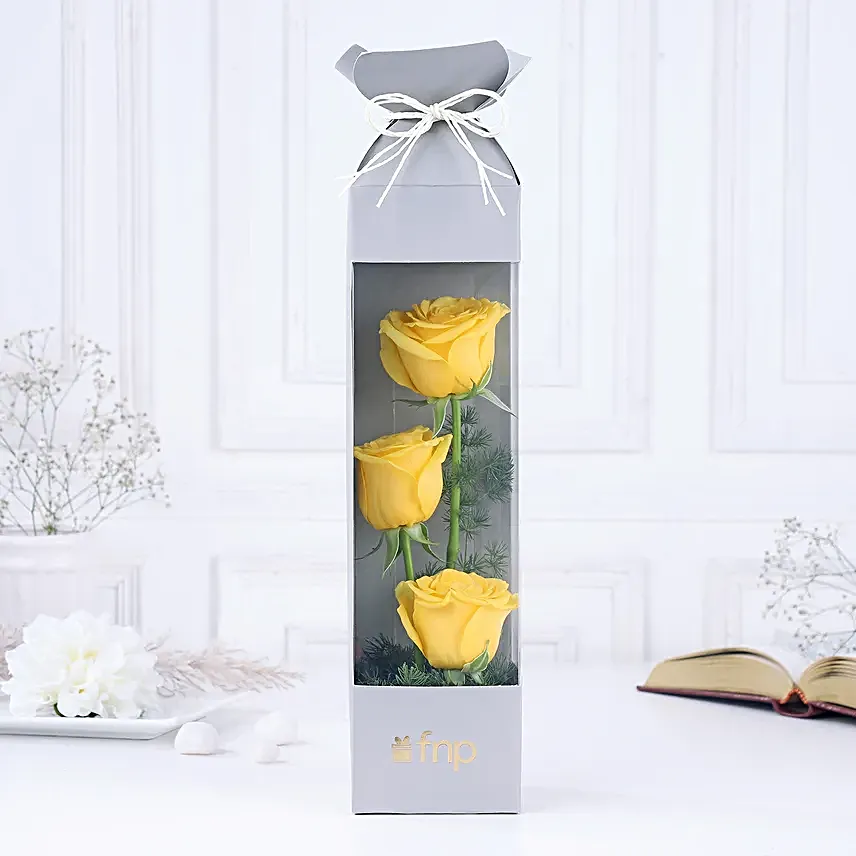 Yellow Rose Sunshine