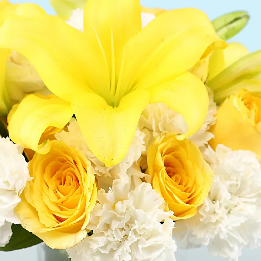 Online Yellow and White Flowers
