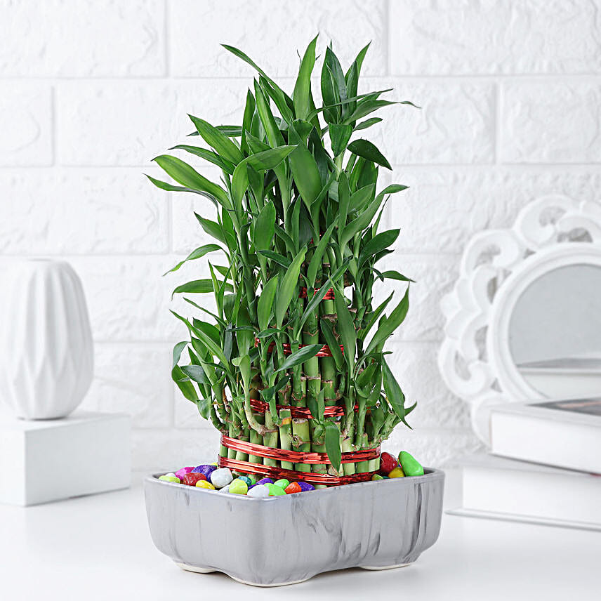 Zen Bamboo Gift
