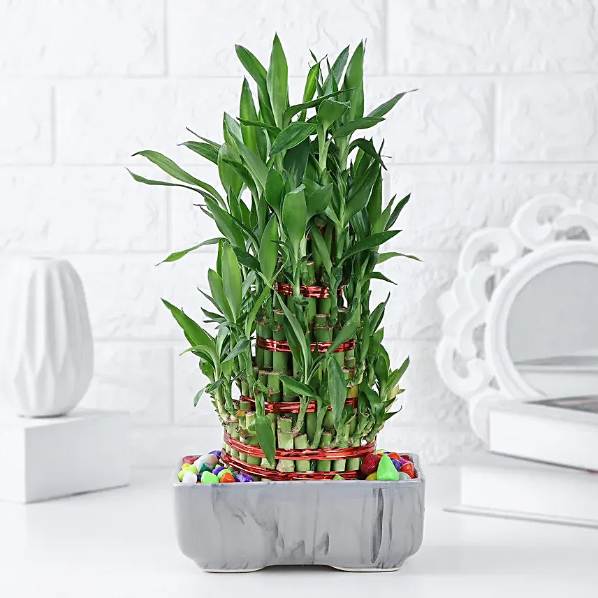 Zen Bamboo Gift