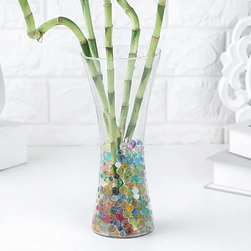 Zen Spiral Bamboo Delight
