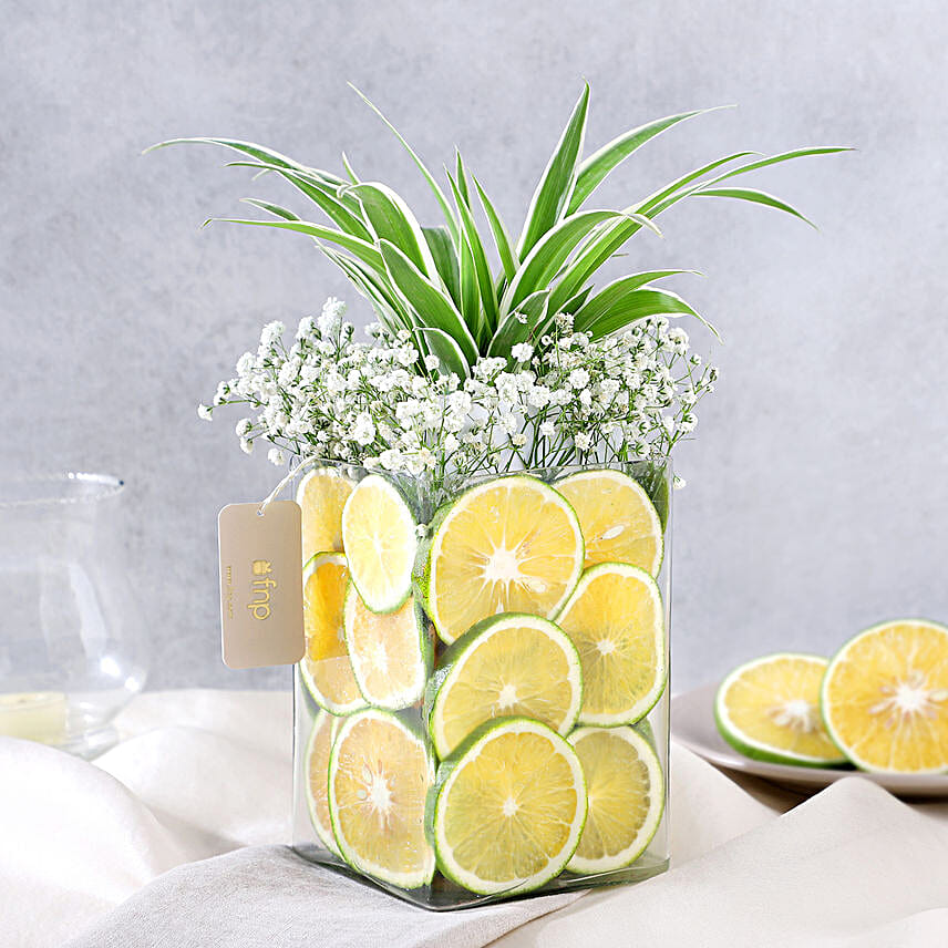 Zestful Lime and Spider Plant Surprise
