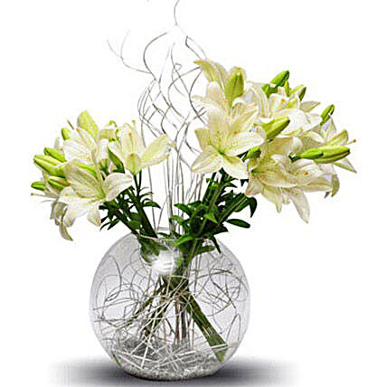Lily celebration - A glass vase arrangement of a dozen white Asiatic lilies.