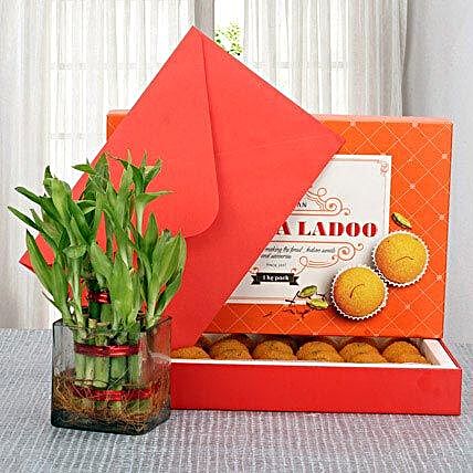 Combo of motichoor laddo, lucky bamboo and a greeting card:Janmashtami Gifts