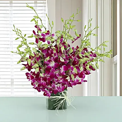 Exotic Expression - Arrangement of 20 purple orchids in glass vase.