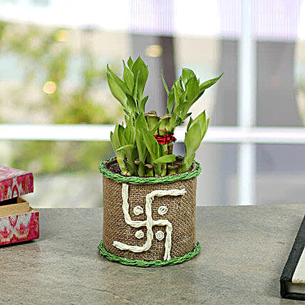 Swastika Two Layer Bamboo plant:Navratri Gifts