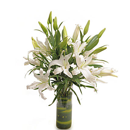 Isle Of White - Bunch of 6 White Oriental lilies in a glass vase.
