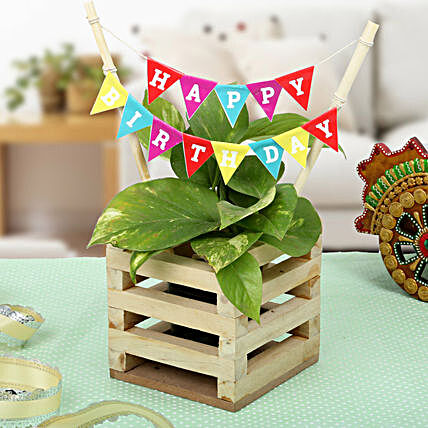 Money plant in a wooden planter pot with a happy birthday banner:Wooden Planters