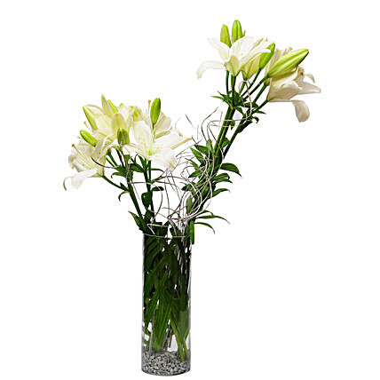 Sweet memories - Glass vase arrangement of 6 white & yellow asiatic lilies.