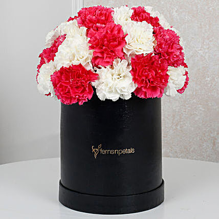 Lovely White N Pink Carnations Arragment:Carnations