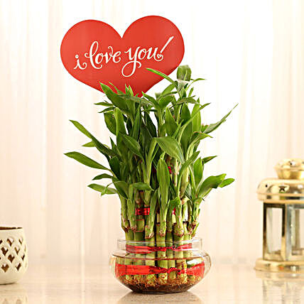 Bamboo for Valentines Gift