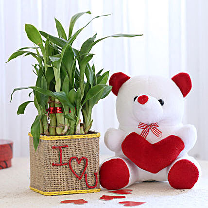 Love Bamboo Vase N Teddy Online