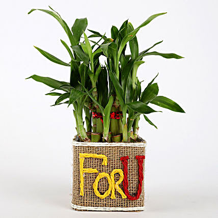 Printed Plant Pot for Him