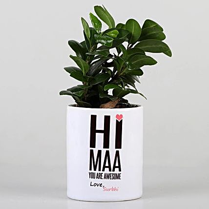air purifying plant with printed coffee  mug for mom:Personalised Pot plants