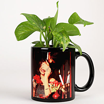 indoor plant in ceramic mug