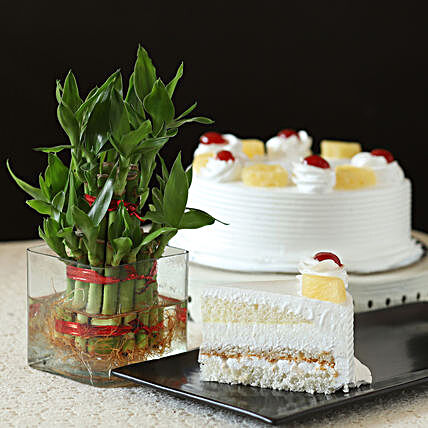Bamboo with Pineapple Cake:Cakes N Plants
