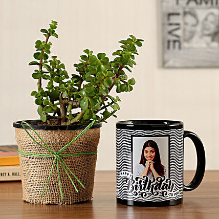 jade plant with bday mug for her