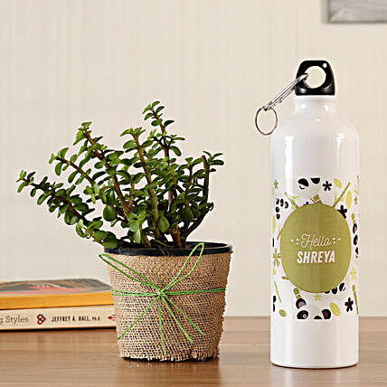 jade plant online with bottle