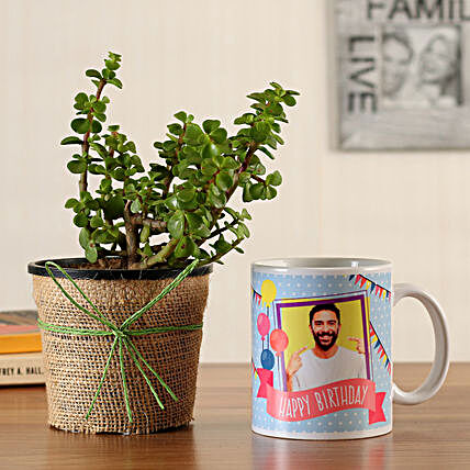 jade plant with bday mug for him:Plants N Personalised Gifts