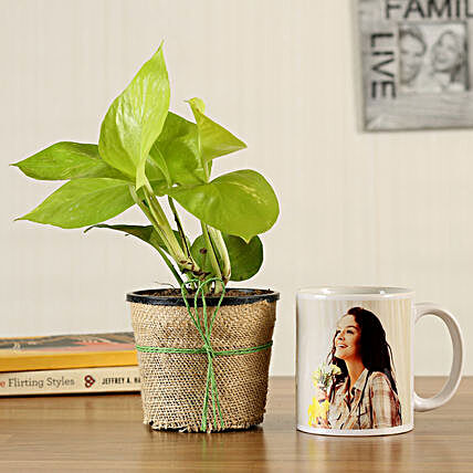 plant with mug online